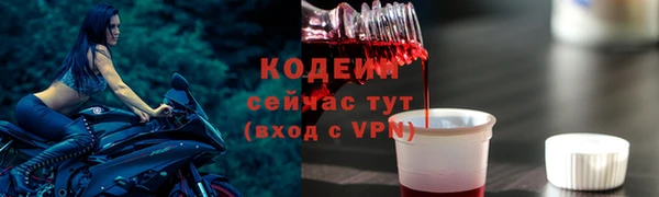 дурь Арсеньев