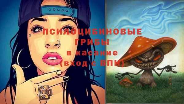дурь Арсеньев