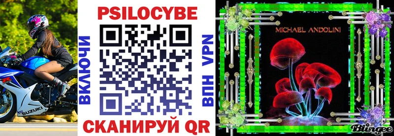 Псилоцибиновые грибы Psilocybe  Купить  Николаевск 