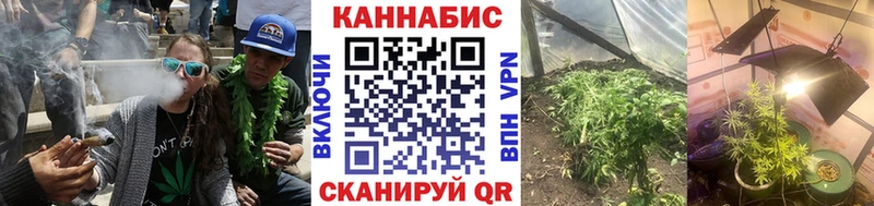 Бошки марихуана AK-47  Купить где  Николаевск 
